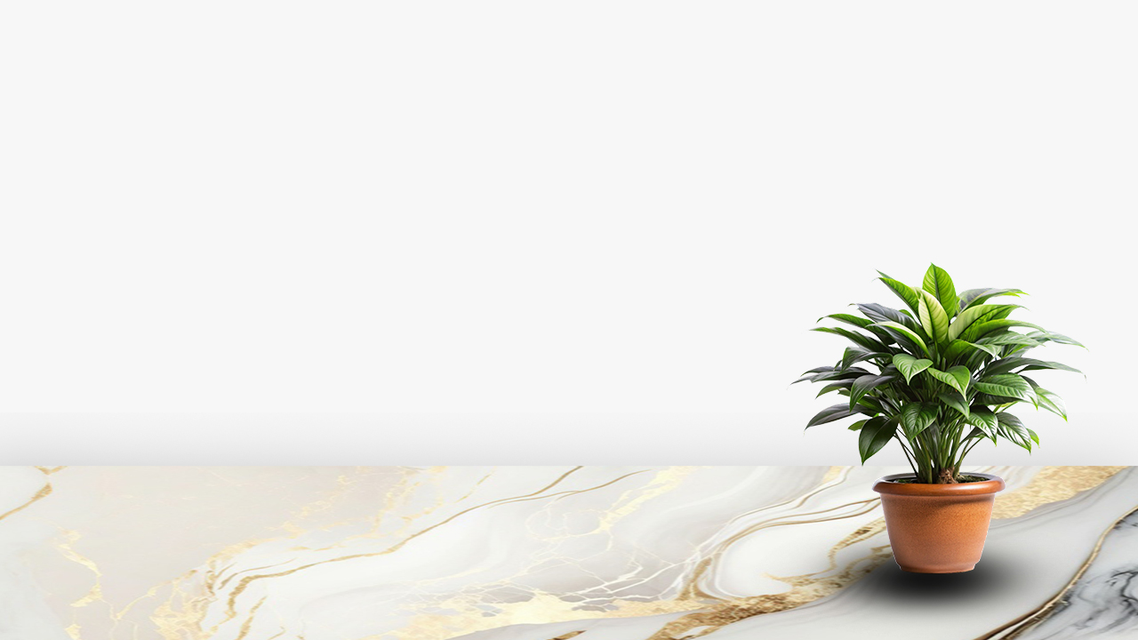 Sandalwood Incense Sticks